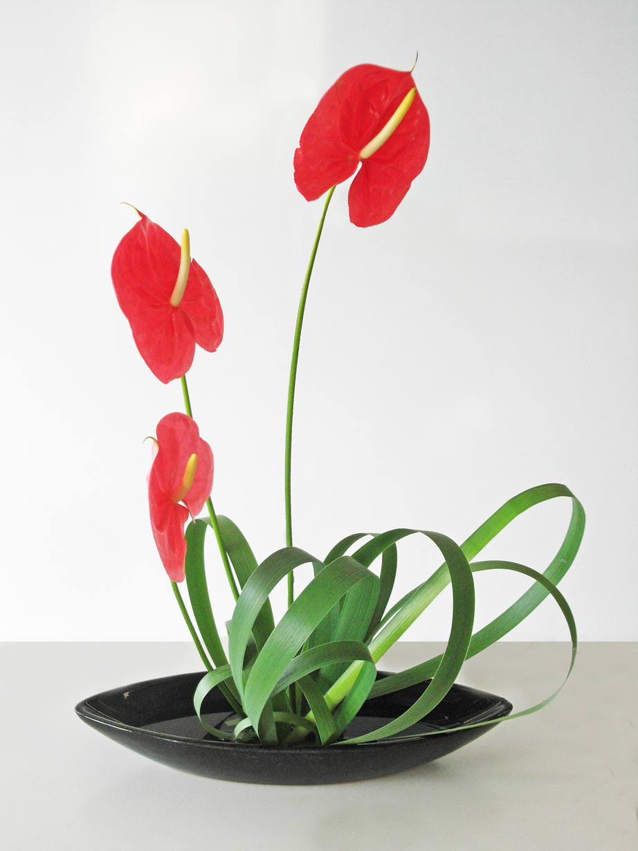 201104