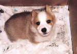 child04