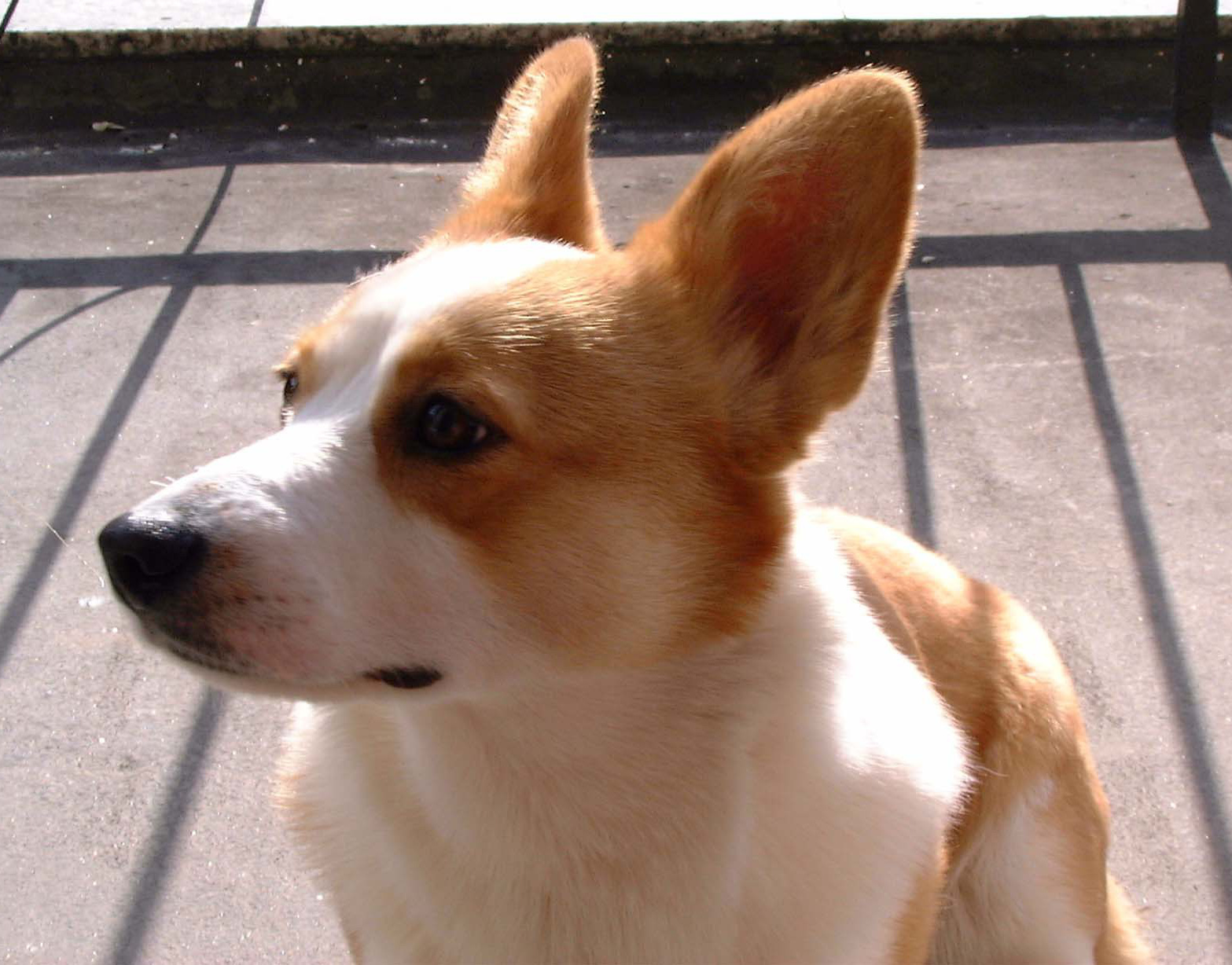 middle