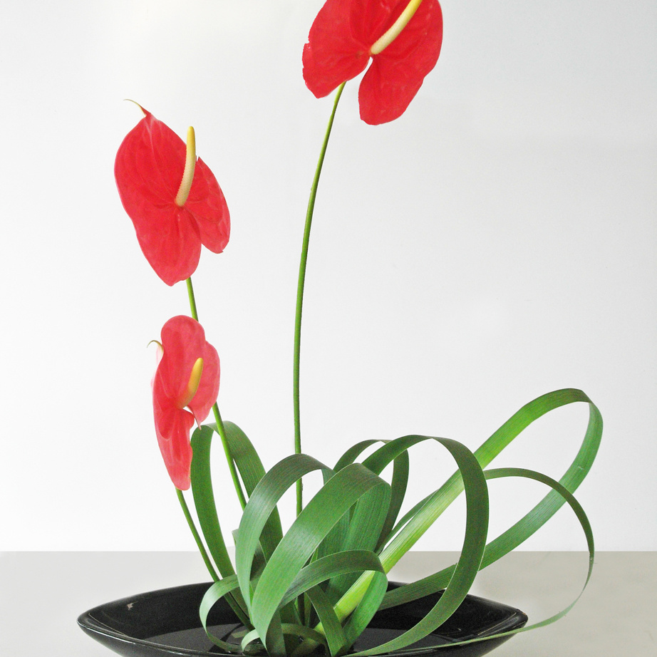 201104